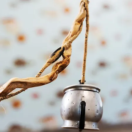 Buona Fortuna Hotel Bellaria-Igea Marina